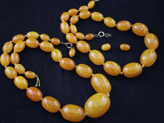 Two single strand graduated oval amber bead necklaces, gross weight 121 grams.